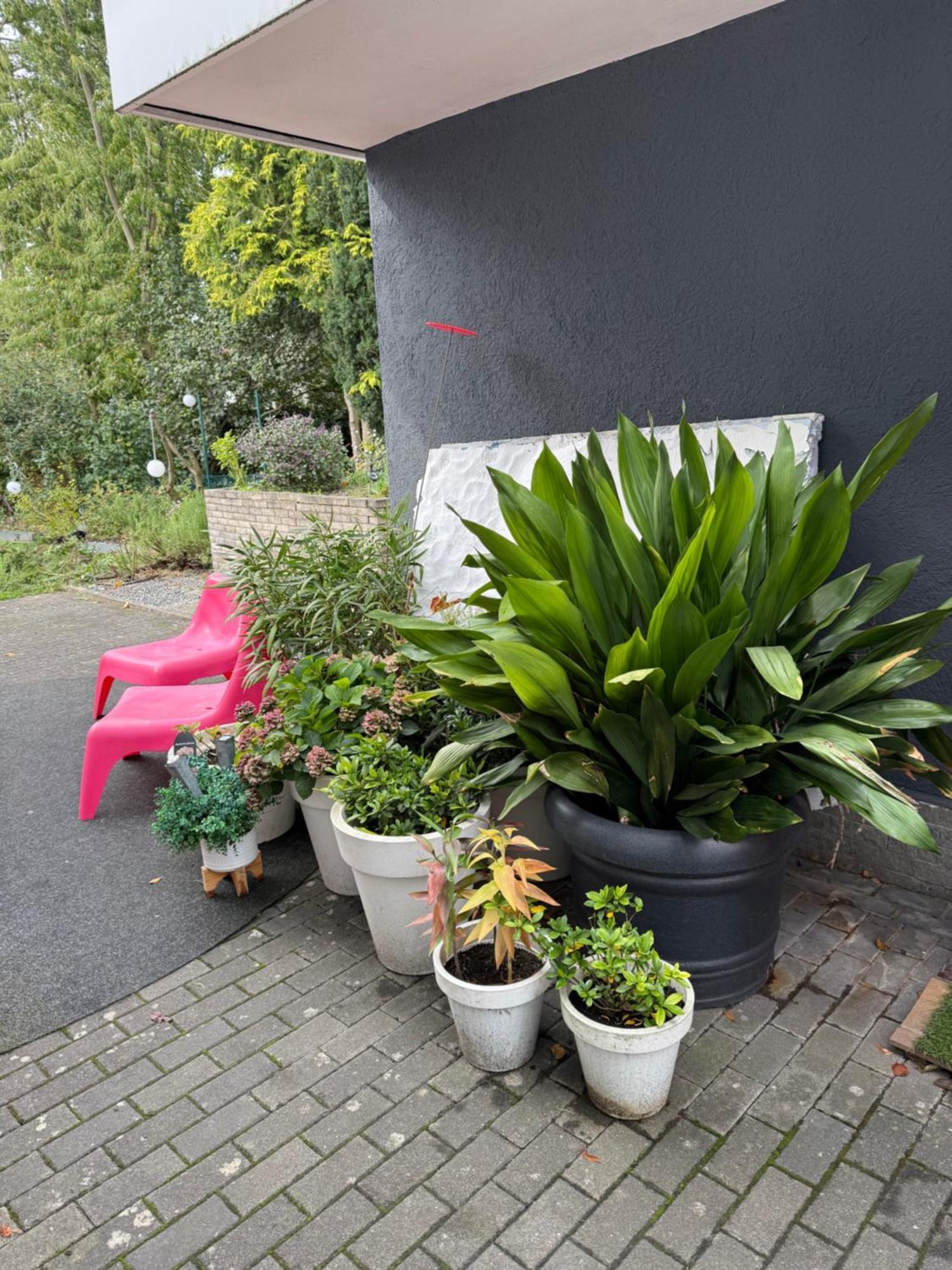 Modernes 1 Zimmerapartment Nahe Frankfurt Am Main Heusenstamm Exterior photo